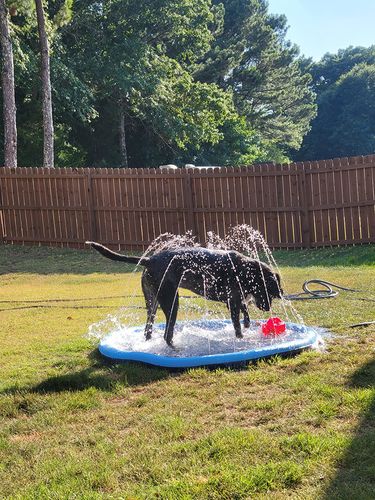 75in Sprinkler Cooling Play Mat For Dogs - Splash Sprinkler Pad for Dogs Kids photo review