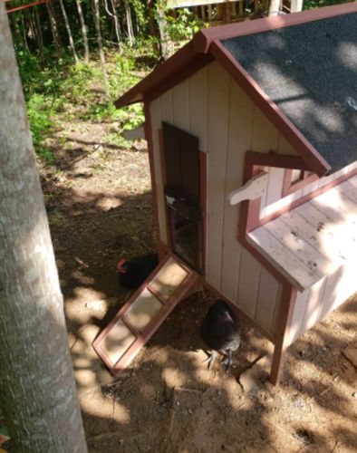 Automatic Chicken Coop Door photo review