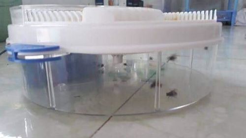 Automatic Electronic Fly Trap Catch Flies the Easiest and Fastest Way Possible! photo review