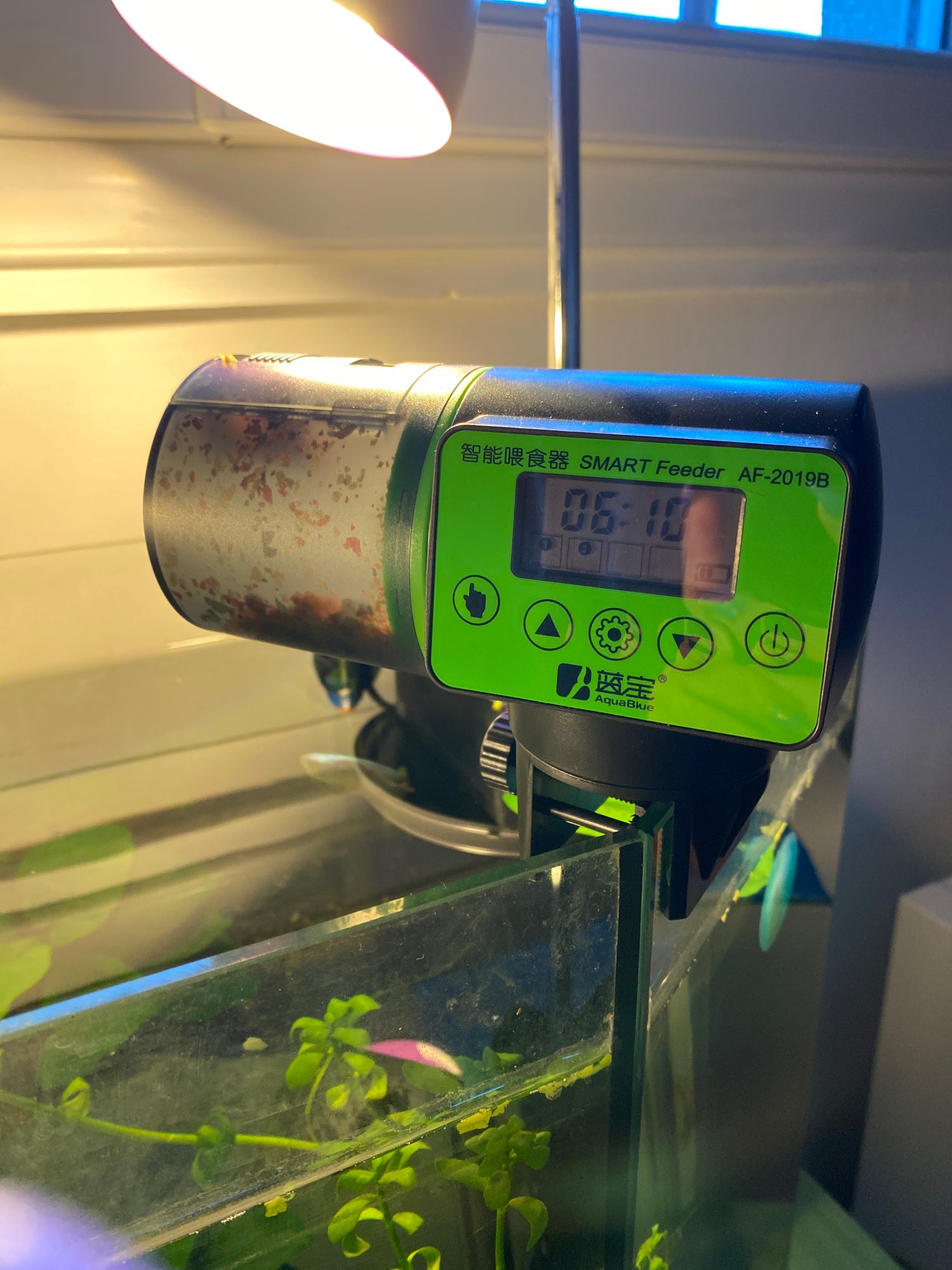 Automatic Fish Feeder photo review