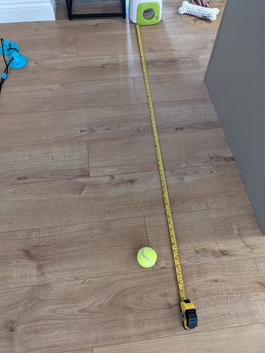 Automatic Tennis Ball Launcher Dog Toy photo review