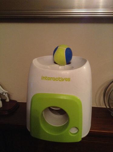 Automatic Tennis Ball Launcher Dog Toy photo review