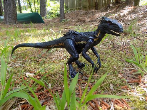 Black Indoraptor Dinosaurs Action Figure photo review