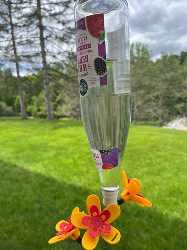 Bob Kit Recycled Bottles Hummingbird Feeder photo review
