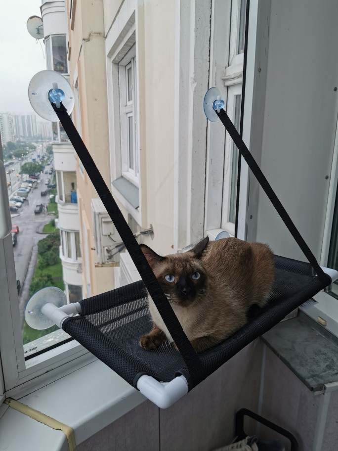 Cat Window Perch Hammock Bed Seat photo review