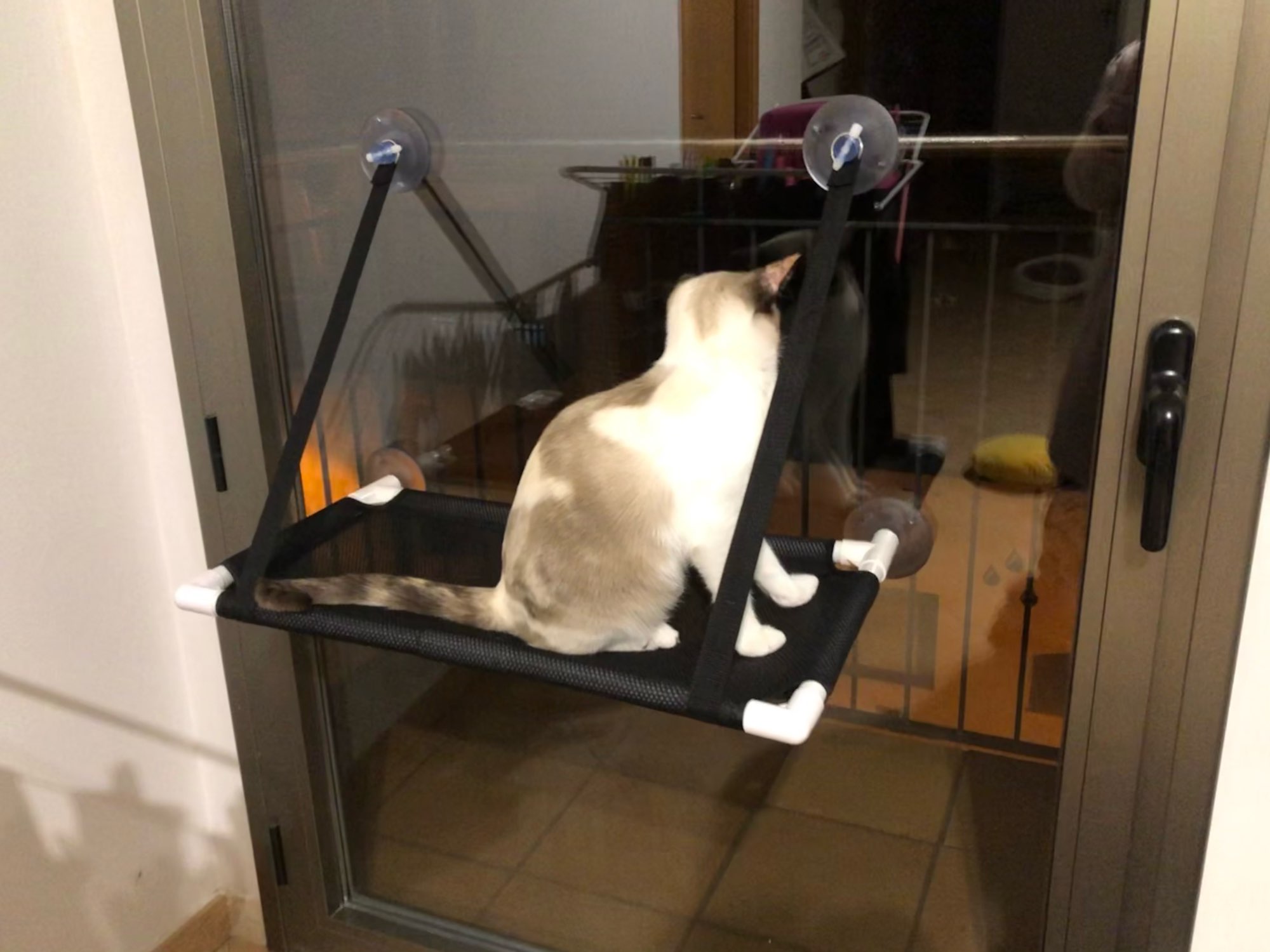 Cat Window Perch Hammock Bed Seat photo review