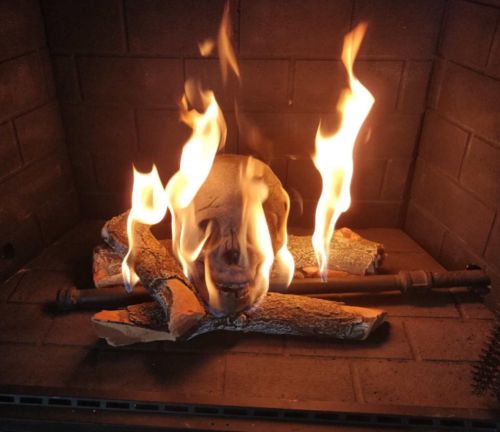 Ceramic Imitation Human Skull Fire Log photo review