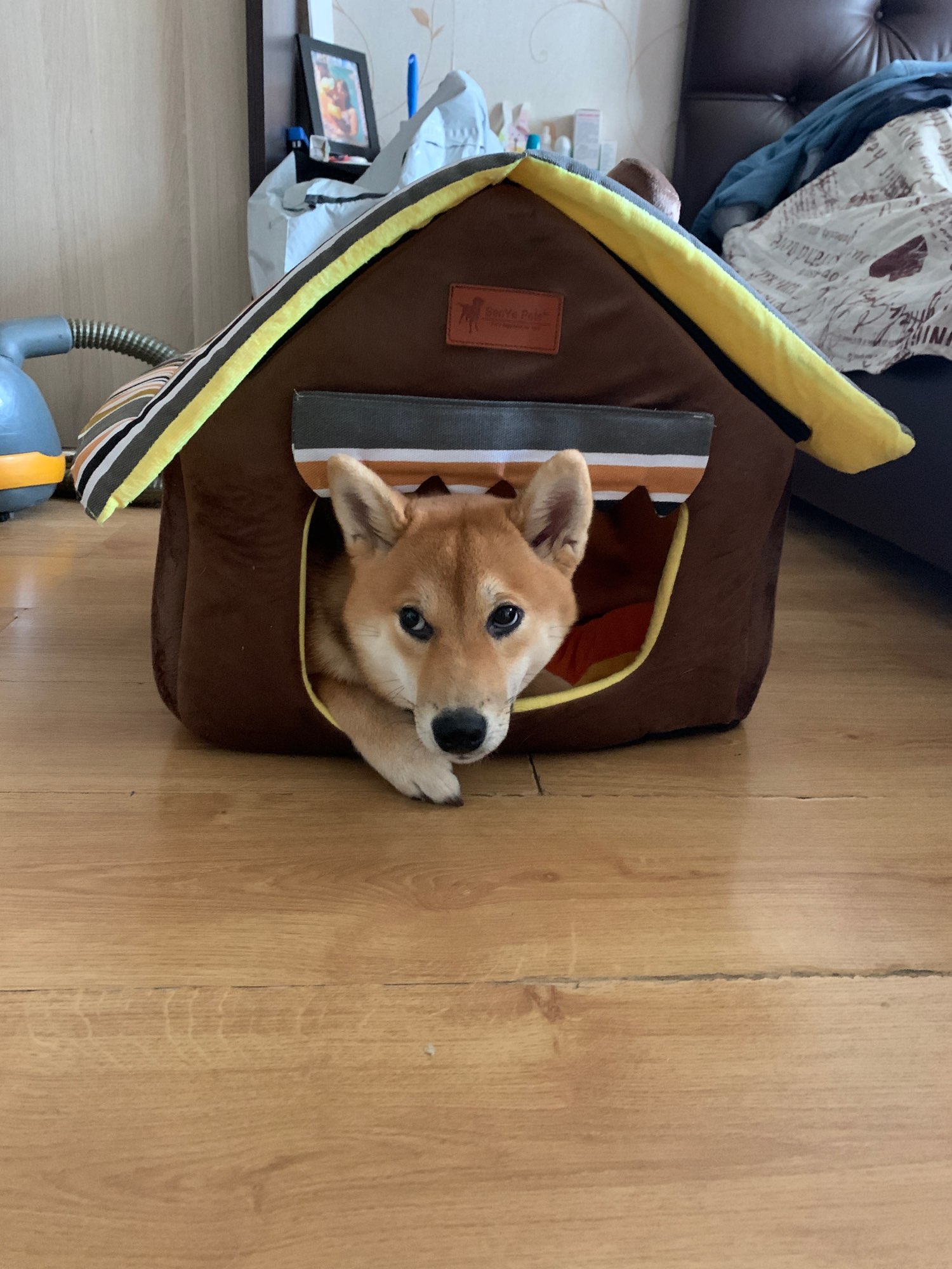Comfy Dog House Bed photo review
