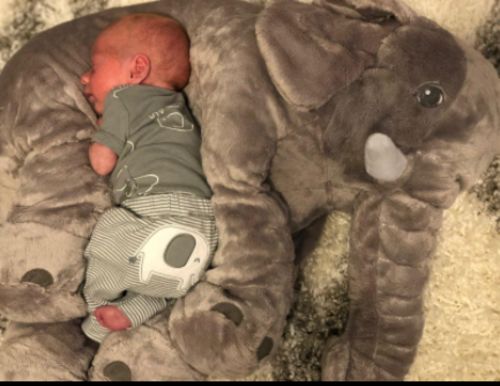 Cute Giant Elephant Cuddle Hug Plush Toy For Babies photo review