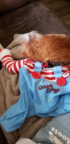 Dog Deadly Doll Costume photo review