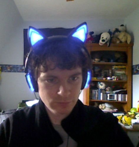 Glowing Cat Ear Headphones photo review