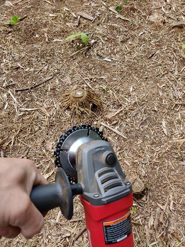 Grinder Wood Carving Chain Disc photo review