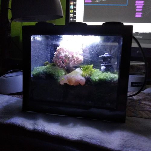 Mini Block Aquarium photo review