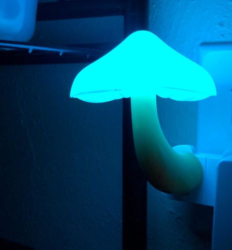 Mushroom Led Night Lamp Wall Socket photo review