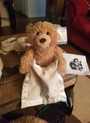Peek a Boo Teddy Bear Play Hide Seek photo review
