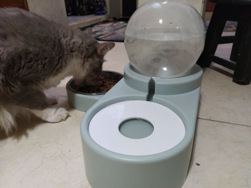 Pet Dog Cat Bowl Fountain Automatic Food Water Feeder Container Dispenser photo review