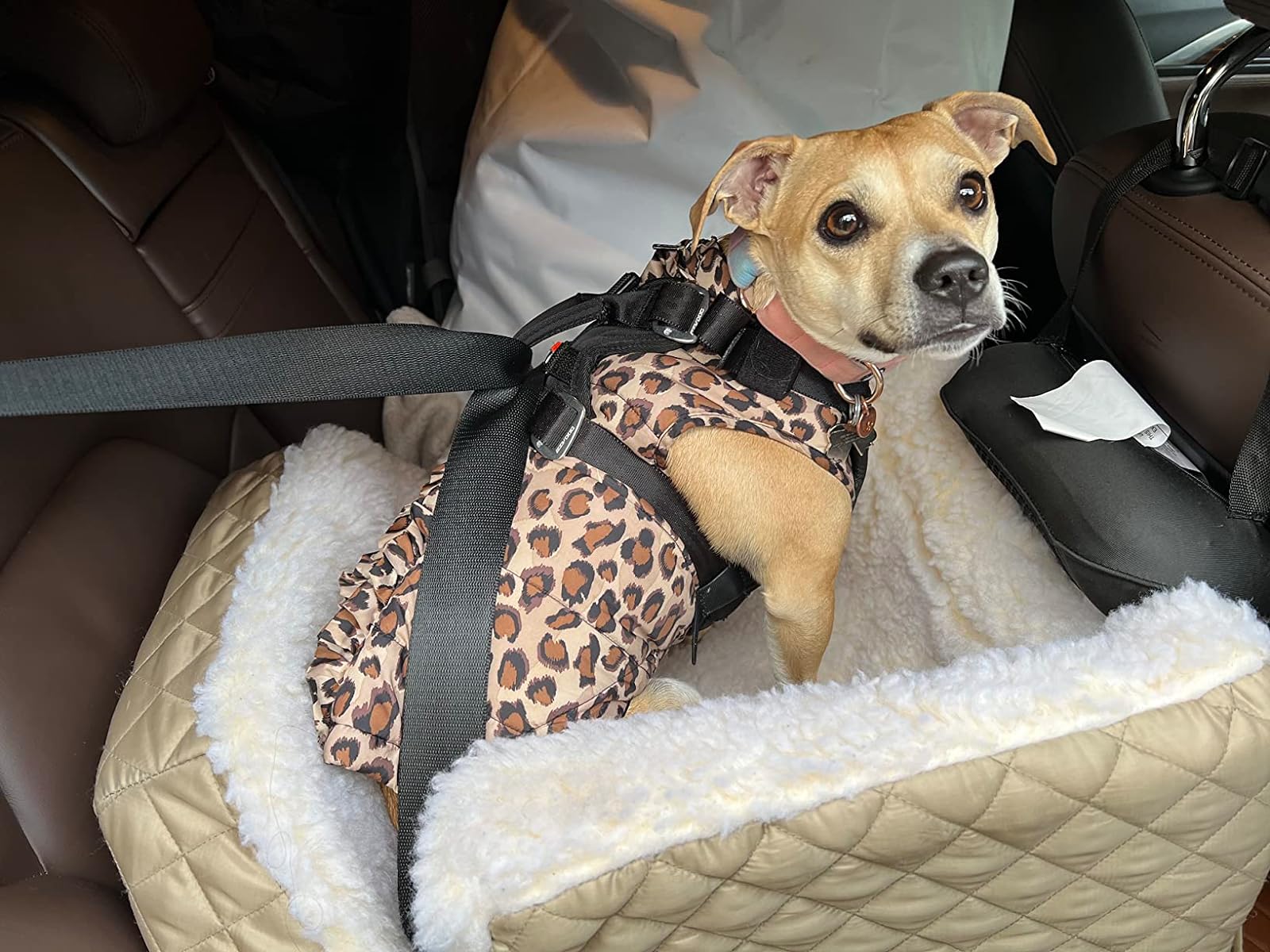 Travel Dog Car Harness Premium Vehicle Restraint Vest For Protection And Comfort photo review