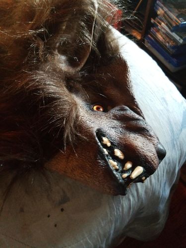 Werewolf Costume Party Gags Halloween Simulation Animal Rotate Headwear photo review